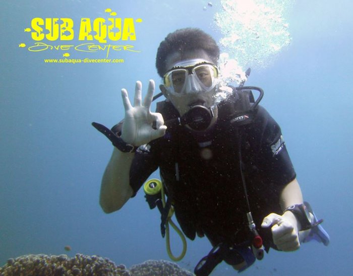 blog_diverunderwater.jpg