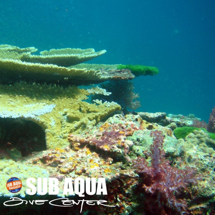 Similan Islands - Breakfast Bend