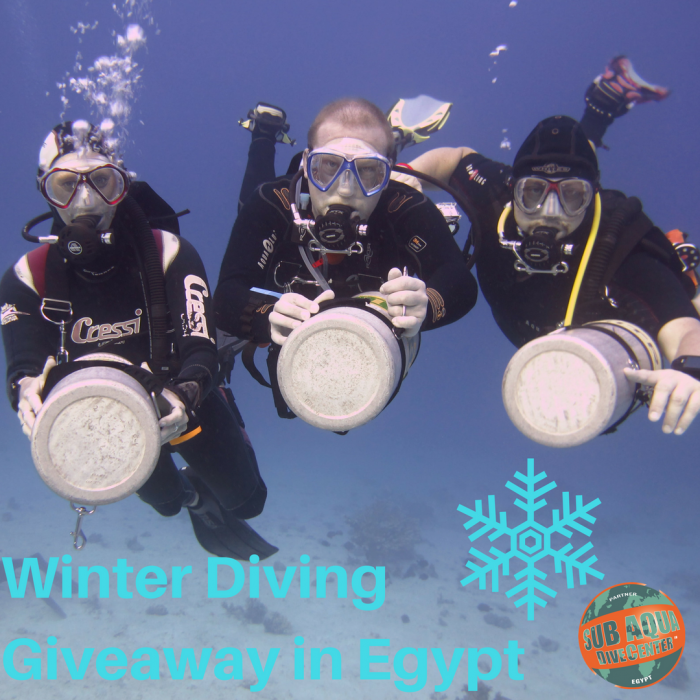 Egypt Diving Winter Special